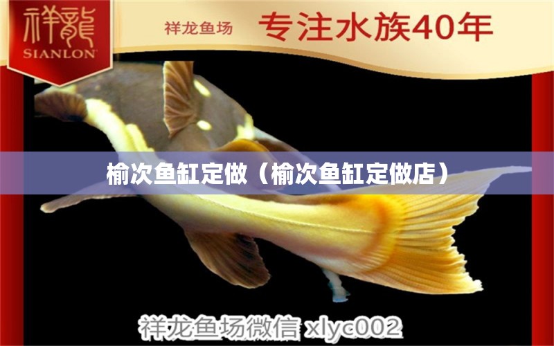 榆次鱼缸定做（榆次鱼缸定做店） 广州龙鱼批发市场