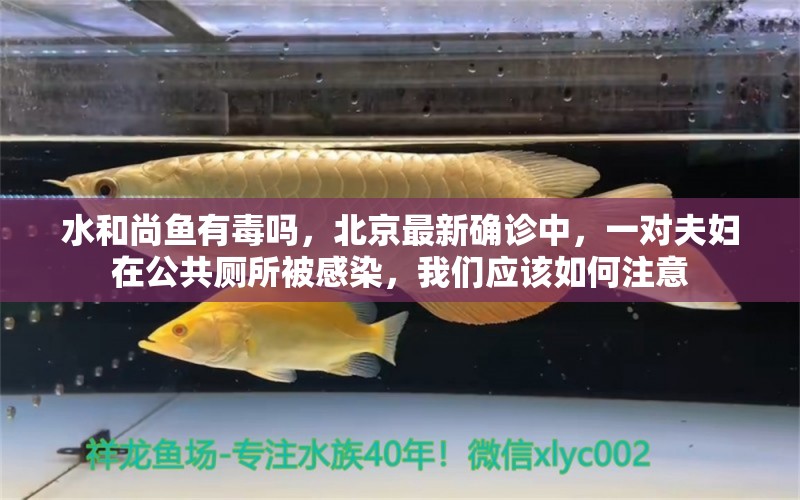 水和尚鱼有毒吗，北京最新确诊中，一对夫妇在公共厕所被感染，我们应该如何注意