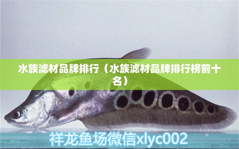 水族滤材品牌排行（水族滤材品牌排行榜前十名） 鱼缸水质稳定剂