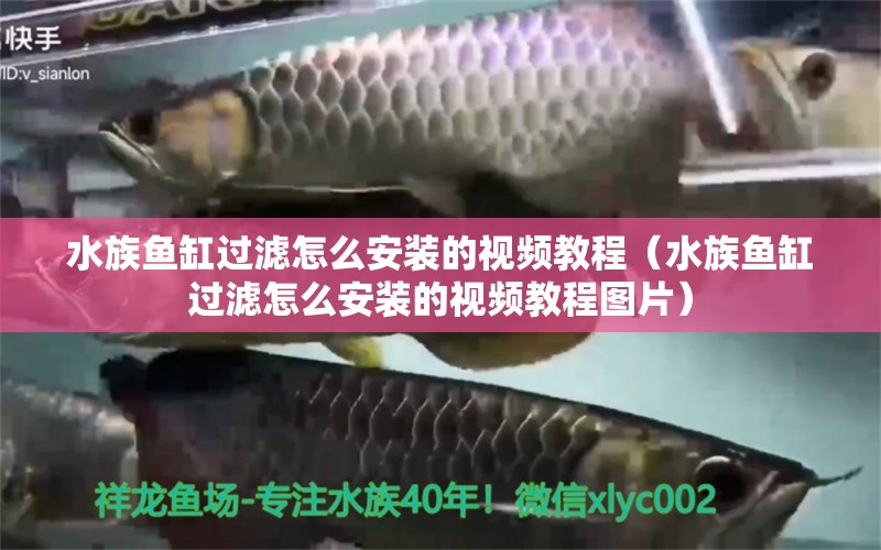 水族鱼缸过滤怎么安装的视频教程（水族鱼缸过滤怎么安装的视频教程图片）