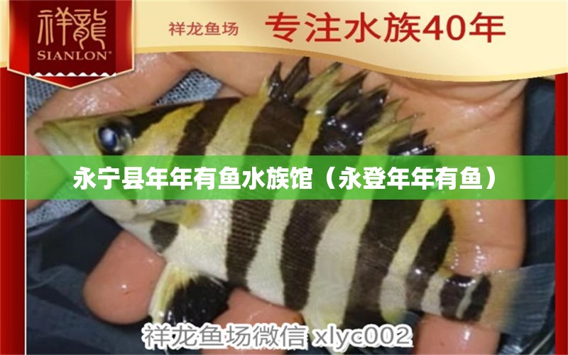 永宁县年年有鱼水族馆（永登年年有鱼） 全国水族馆企业名录