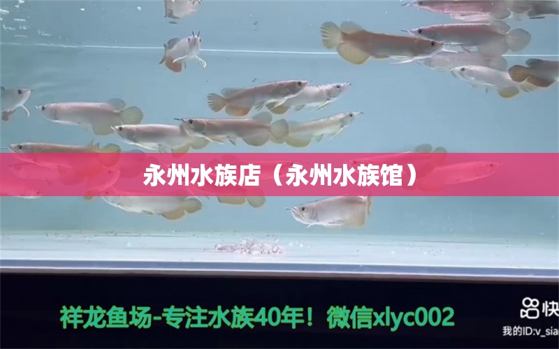 永州水族店（永州水族馆） 观赏鱼市场