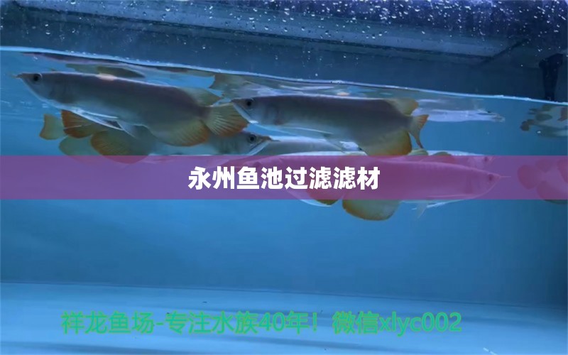 永州鱼池过滤滤材