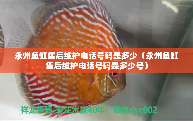 永州鱼缸售后维护电话号码是多少（永州鱼缸售后维护电话号码是多少号）