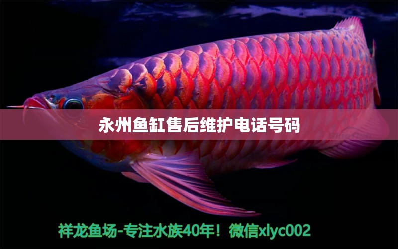 永州鱼缸售后维护电话号码 其他品牌鱼缸