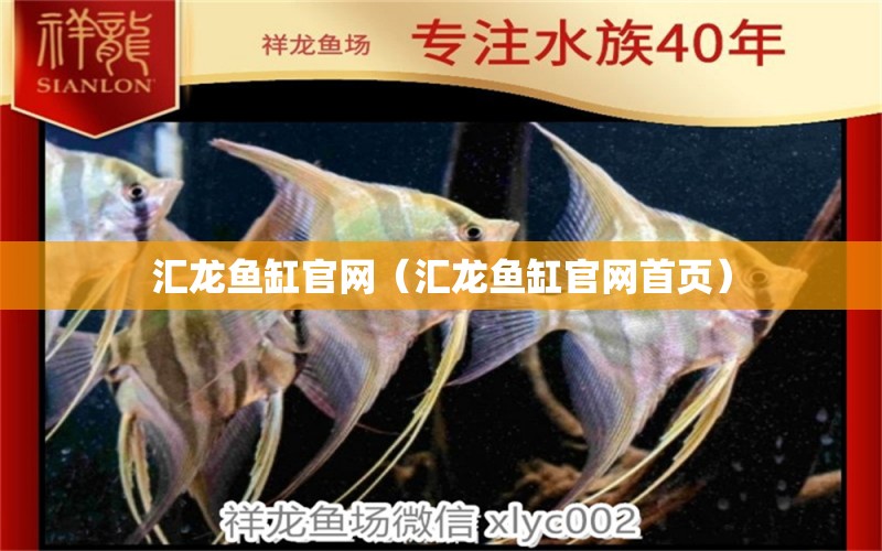汇龙鱼缸官网（汇龙鱼缸官网首页） 广州龙鱼批发市场