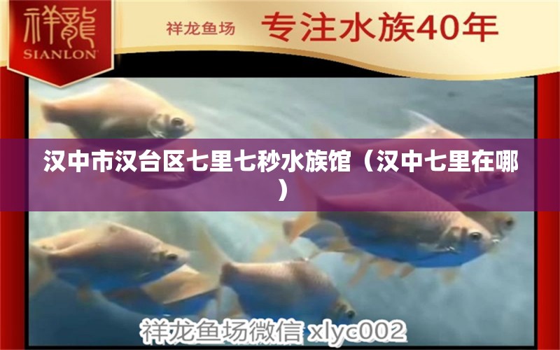 汉中市汉台区七里七秒水族馆（汉中七里在哪） 全国水族馆企业名录