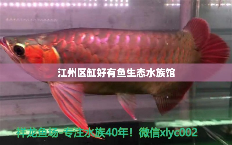 江州区缸好有鱼生态水族馆