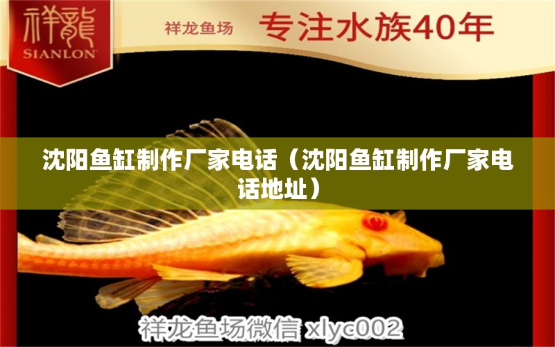 沈阳鱼缸制作厂家电话（沈阳鱼缸制作厂家电话地址） 广州观赏鱼批发市场