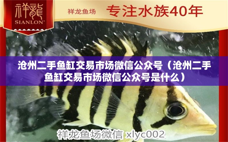 沧州二手鱼缸交易市场微信公众号（沧州二手鱼缸交易市场微信公众号是什么） 白子关刀鱼