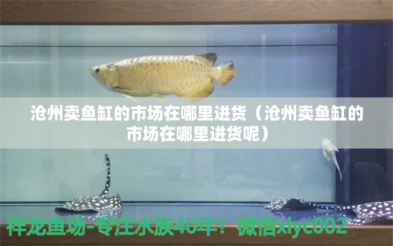 沧州卖鱼缸的市场在哪里进货（沧州卖鱼缸的市场在哪里进货呢）