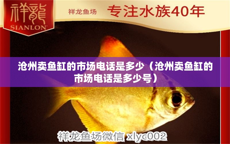 沧州卖鱼缸的市场电话是多少（沧州卖鱼缸的市场电话是多少号）