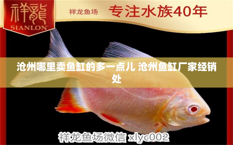 沧州哪里卖鱼缸的多一点儿 沧州鱼缸厂家经销处