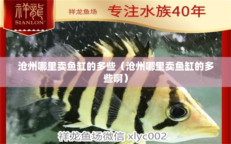 沧州哪里卖鱼缸的多些（沧州哪里卖鱼缸的多些啊） 潜水泵