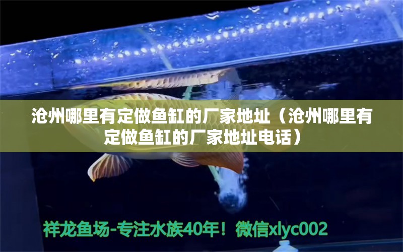 沧州哪里有定做鱼缸的厂家地址（沧州哪里有定做鱼缸的厂家地址电话） 其他品牌鱼缸