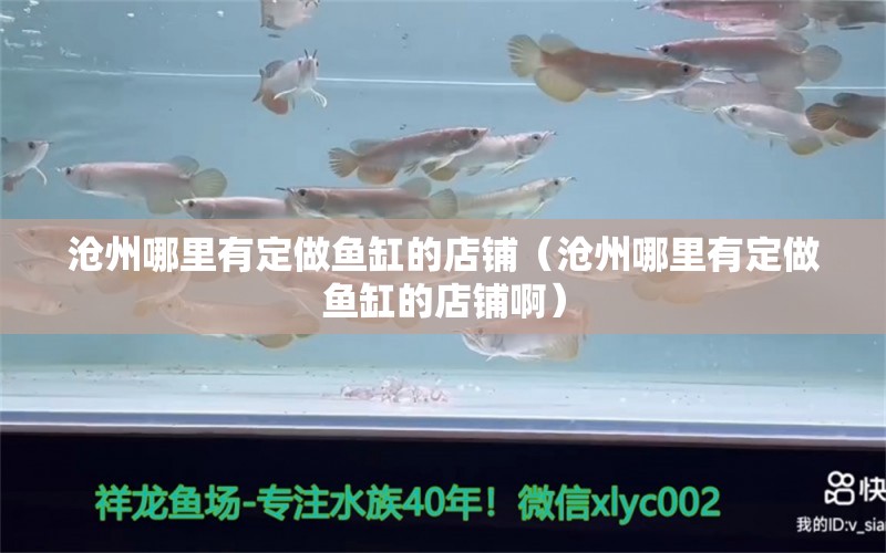 沧州哪里有定做鱼缸的店铺（沧州哪里有定做鱼缸的店铺啊）