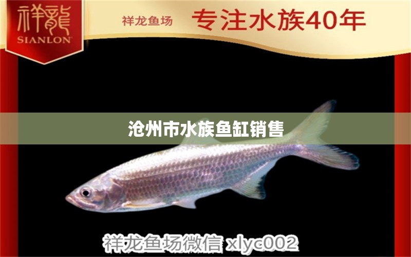 沧州市水族鱼缸销售