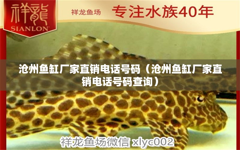 沧州鱼缸厂家直销电话号码（沧州鱼缸厂家直销电话号码查询） 其他品牌鱼缸