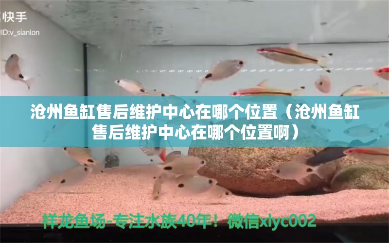 沧州鱼缸售后维护中心在哪个位置（沧州鱼缸售后维护中心在哪个位置啊）