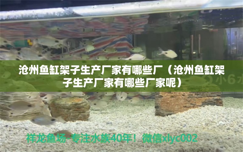 沧州鱼缸架子生产厂家有哪些厂（沧州鱼缸架子生产厂家有哪些厂家呢） 野彩鱼