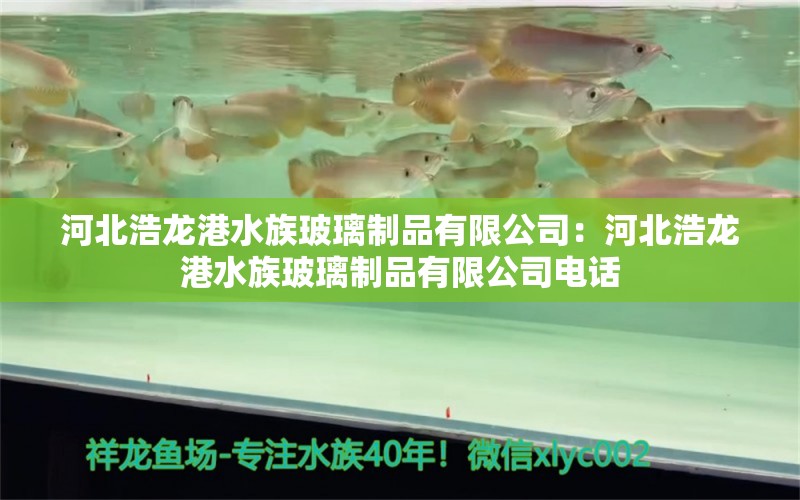 河北浩龙港水族玻璃制品有限公司：河北浩龙港水族玻璃制品有限公司电话