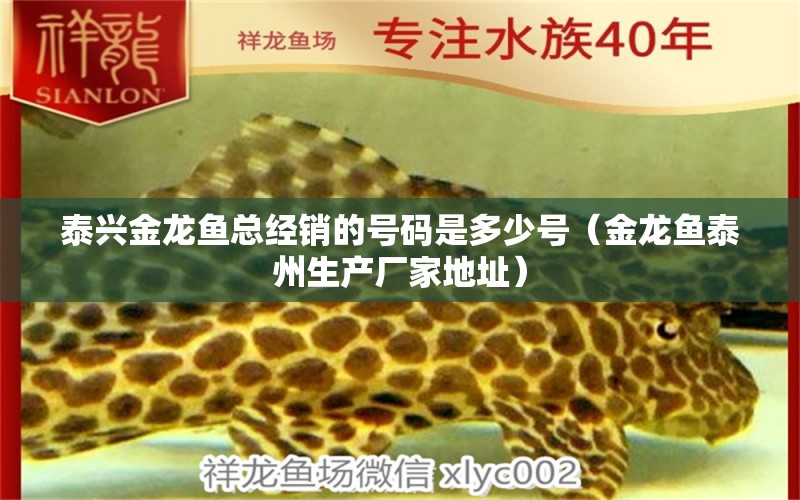 泰兴金龙鱼总经销的号码是多少号（金龙鱼泰州生产厂家地址） 绿皮辣椒小红龙