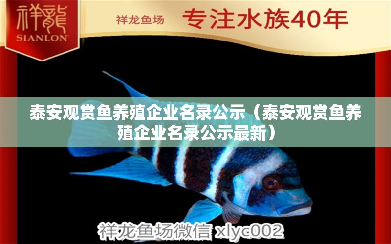 泰安观赏鱼养殖企业名录公示（泰安观赏鱼养殖企业名录公示最新） 祥龙水族医院
