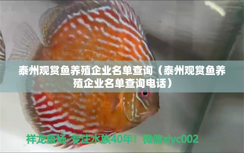 泰州观赏鱼养殖企业名单查询（泰州观赏鱼养殖企业名单查询电话） 观赏鱼市场（混养鱼）