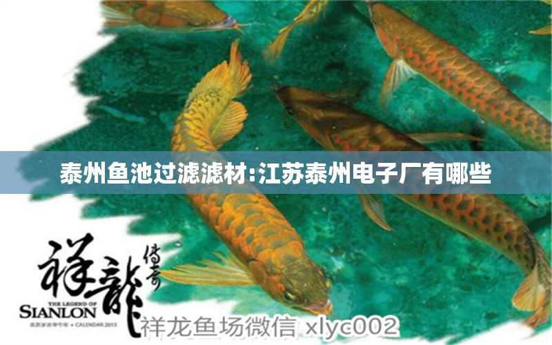 泰州鱼池过滤滤材:江苏泰州电子厂有哪些 广州水族器材滤材批发市场