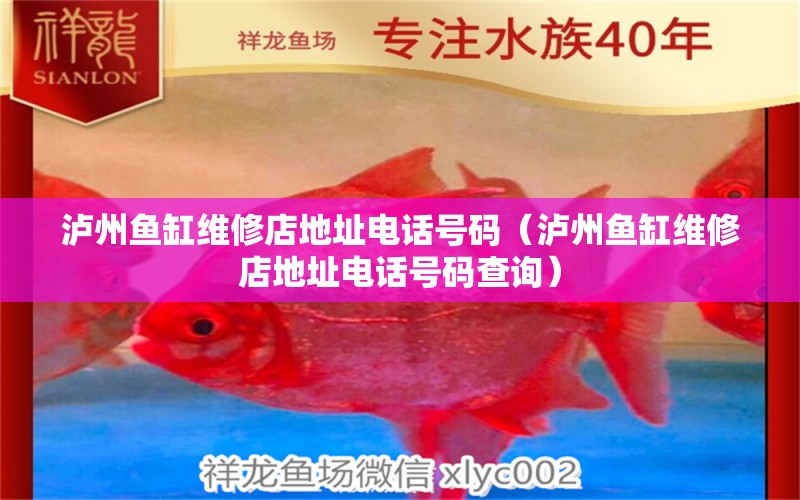 泸州鱼缸维修店地址电话号码（泸州鱼缸维修店地址电话号码查询） 观赏鱼市场（混养鱼）