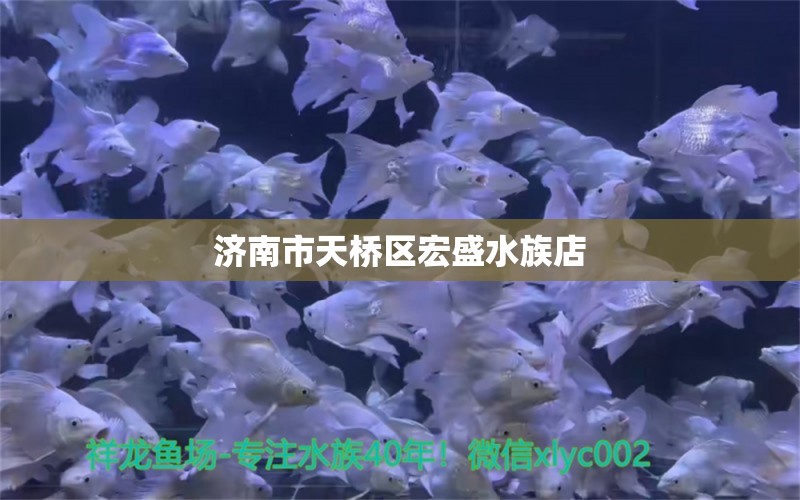 济南市天桥区宏盛水族店 全国水族馆企业名录