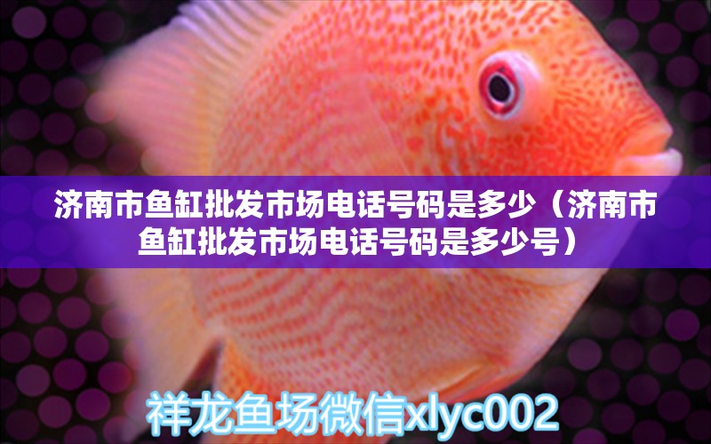 济南市鱼缸批发市场电话号码是多少（济南市鱼缸批发市场电话号码是多少号） 观赏鱼市场（混养鱼）