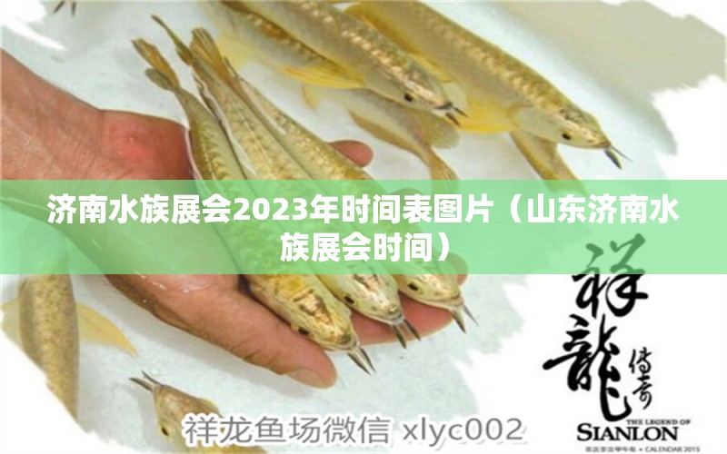 济南水族展会2023年时间表图片（山东济南水族展会时间）
