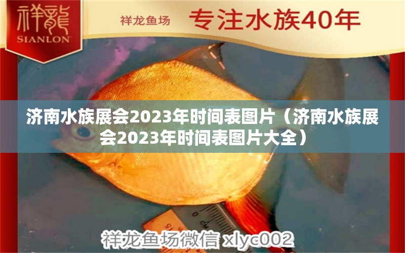 济南水族展会2023年时间表图片（济南水族展会2023年时间表图片大全）