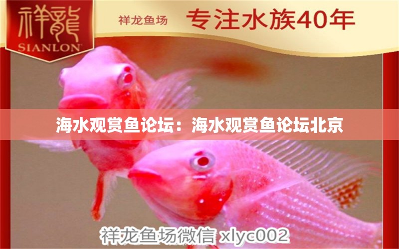 海水观赏鱼论坛：海水观赏鱼论坛北京