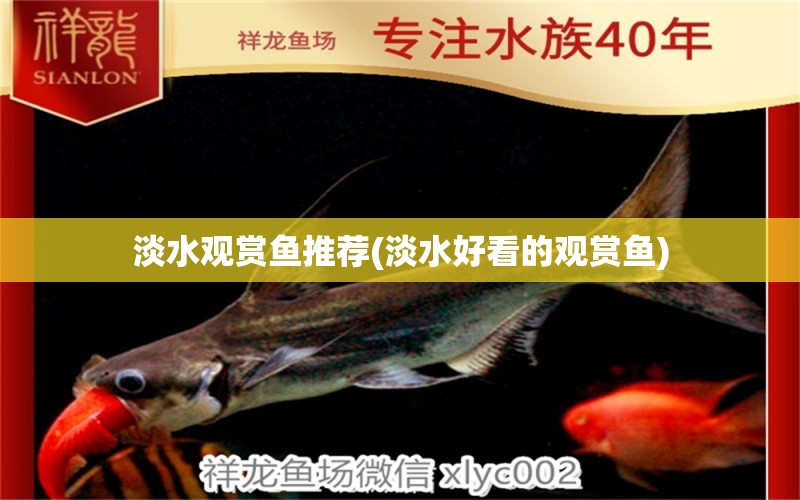 淡水观赏鱼推荐(淡水好看的观赏鱼) 绿皮皇冠豹鱼