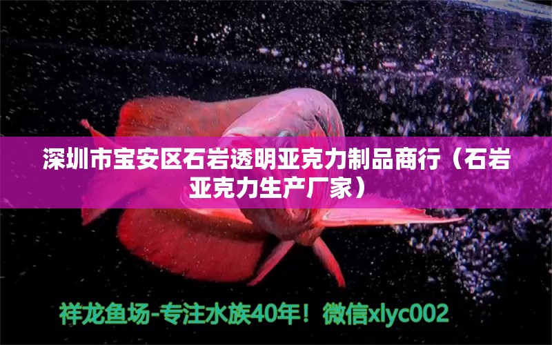 深圳市宝安区石岩透明亚克力制品商行（石岩亚克力生产厂家） 全国水族馆企业名录