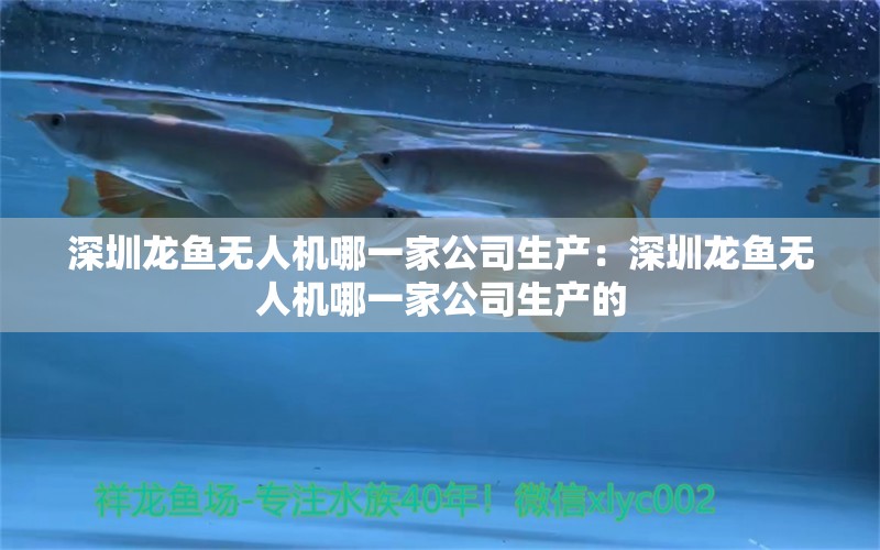 深圳龙鱼无人机哪一家公司生产：深圳龙鱼无人机哪一家公司生产的 观赏鱼市场（混养鱼）