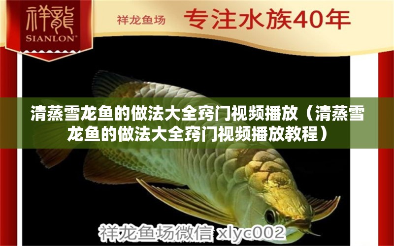 清蒸雪龙鱼的做法大全窍门视频播放（清蒸雪龙鱼的做法大全窍门视频播放教程） 广州龙鱼批发市场
