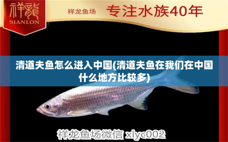 清道夫鱼怎么进入中国(清道夫鱼在我们在中国什么地方比较多) 祥龙鱼药系列