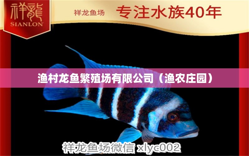 渔村龙鱼繁殖场有限公司（渔农庄园） 黄金眼镜蛇雷龙鱼