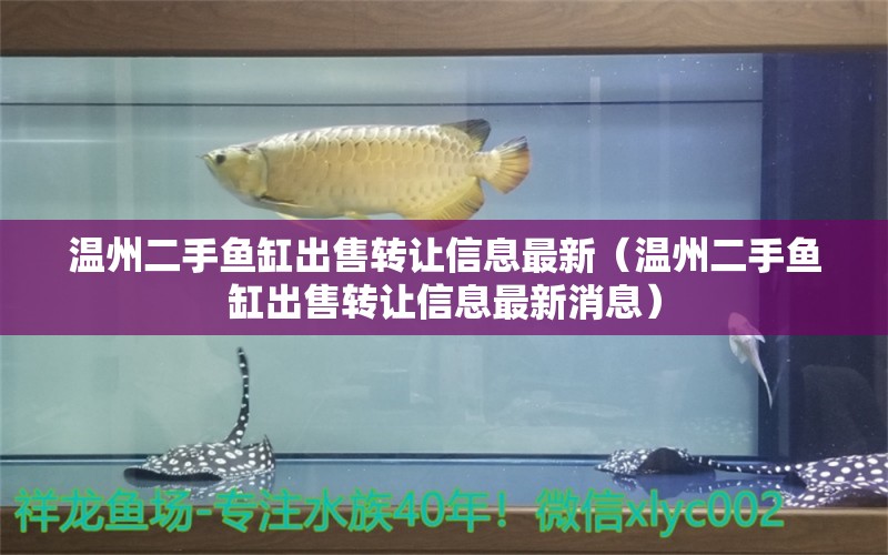 温州二手鱼缸出售转让信息最新（温州二手鱼缸出售转让信息最新消息） 祥龙水族医院