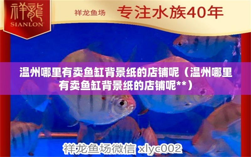 温州哪里有卖鱼缸背景纸的店铺呢（温州哪里有卖鱼缸背景纸的店铺呢**） 丹顶锦鲤鱼