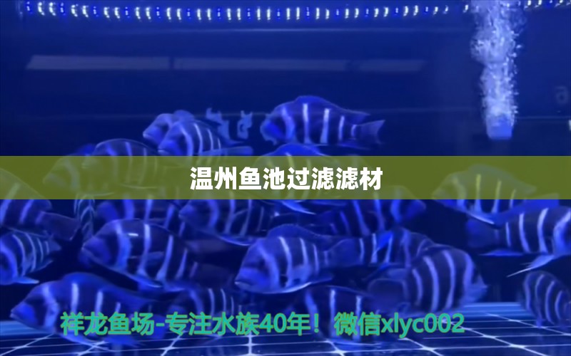 温州鱼池过滤滤材 广州水族器材滤材批发市场