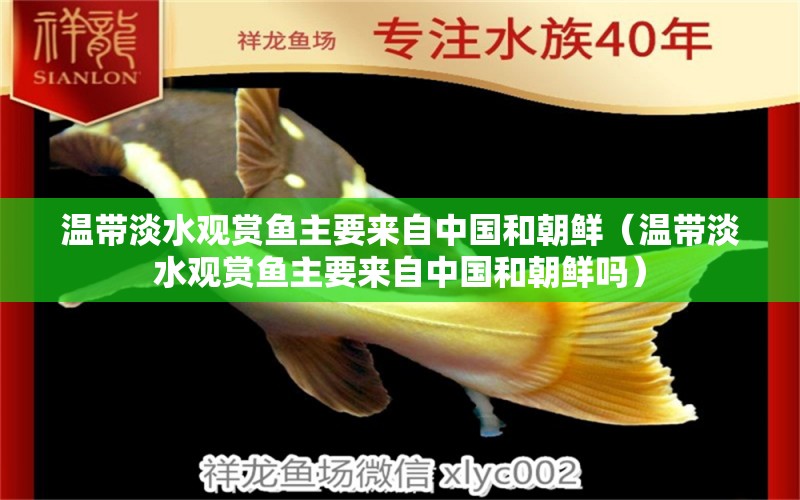 温带淡水观赏鱼主要来自中国和朝鲜（温带淡水观赏鱼主要来自中国和朝鲜吗） 观赏鱼市场（混养鱼）