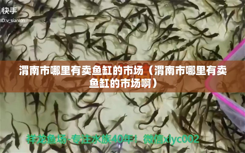 渭南市哪里有卖鱼缸的市场（渭南市哪里有卖鱼缸的市场啊）