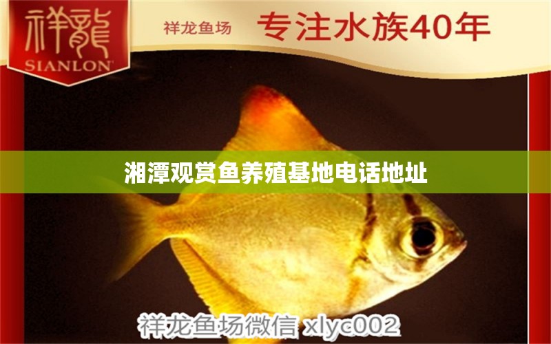 湘潭观赏鱼养殖基地电话地址