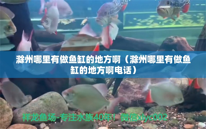 滁州哪里有做鱼缸的地方啊（滁州哪里有做鱼缸的地方啊电话） 观赏鱼市场（混养鱼）