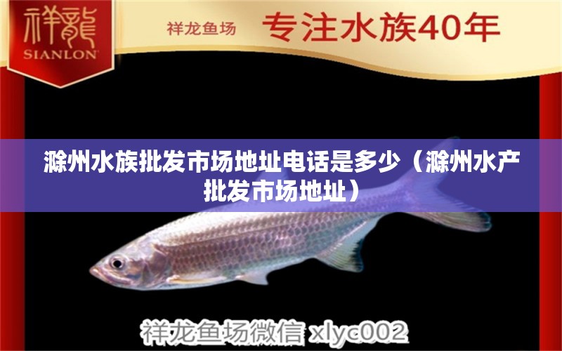 滁州水族批发市场地址电话是多少（滁州水产批发市场地址） 观赏鱼水族批发市场