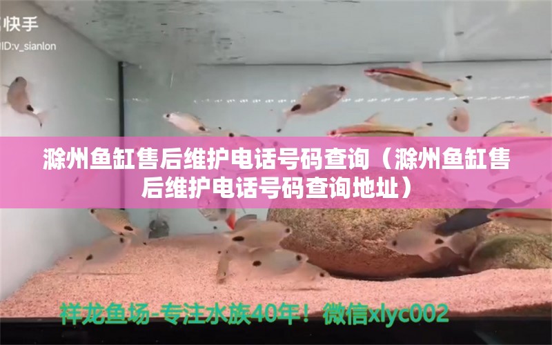 滁州鱼缸售后维护电话号码查询（滁州鱼缸售后维护电话号码查询地址） 其他品牌鱼缸